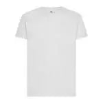 BS024 - colore WH