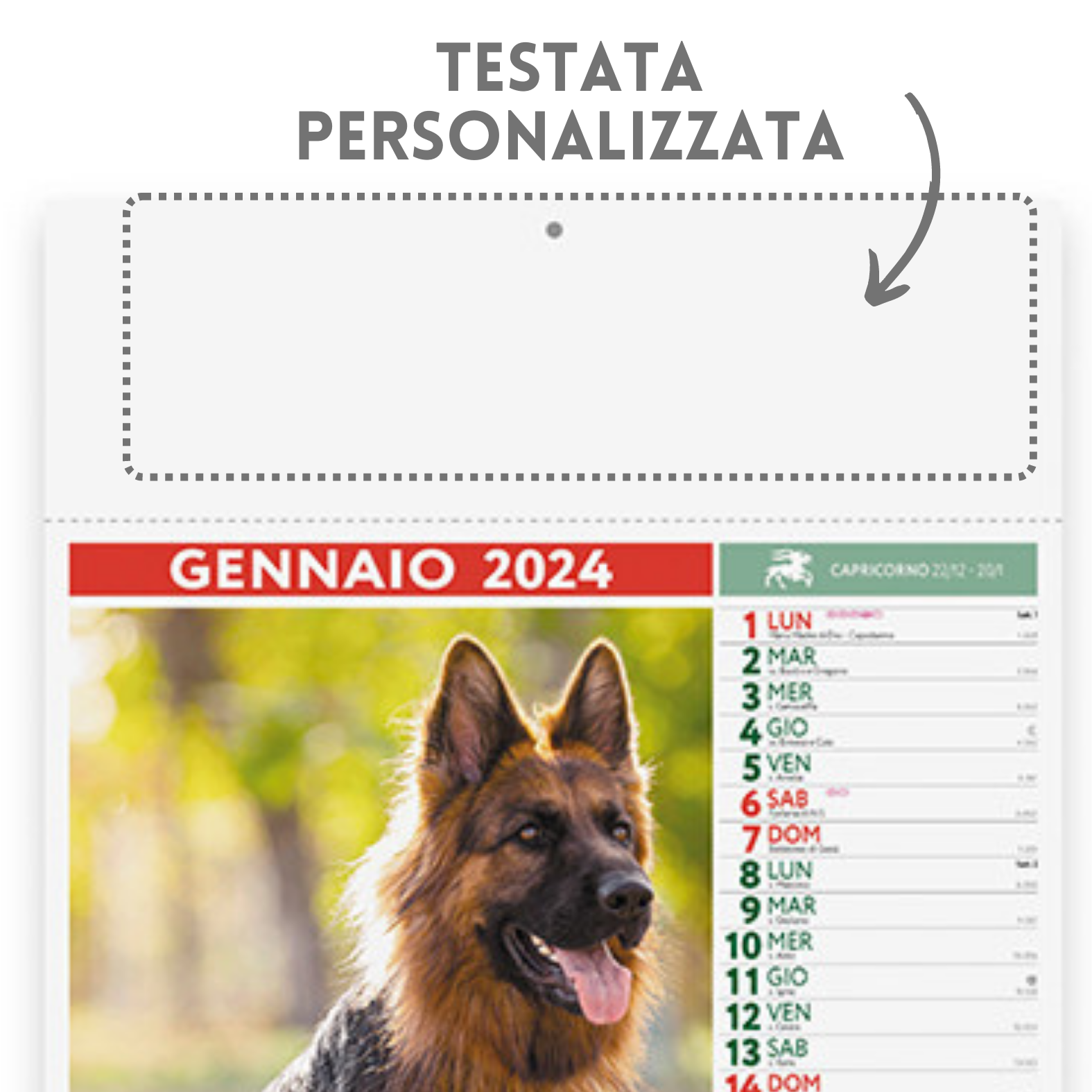 Calendari personalizzati 2024 illustrati PA108
