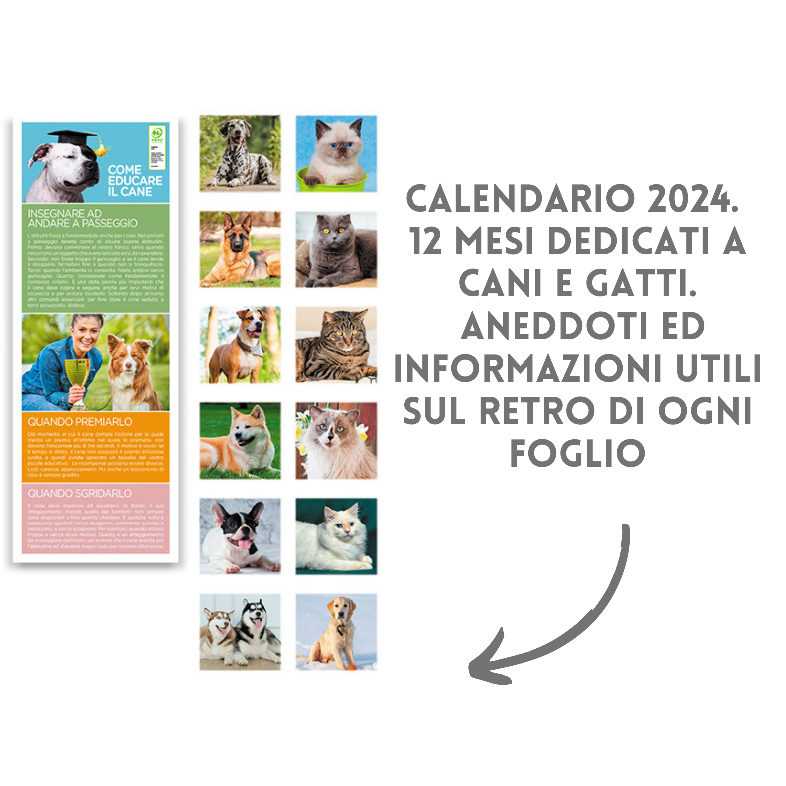Calendari personalizzati 2024 illustrati PA191