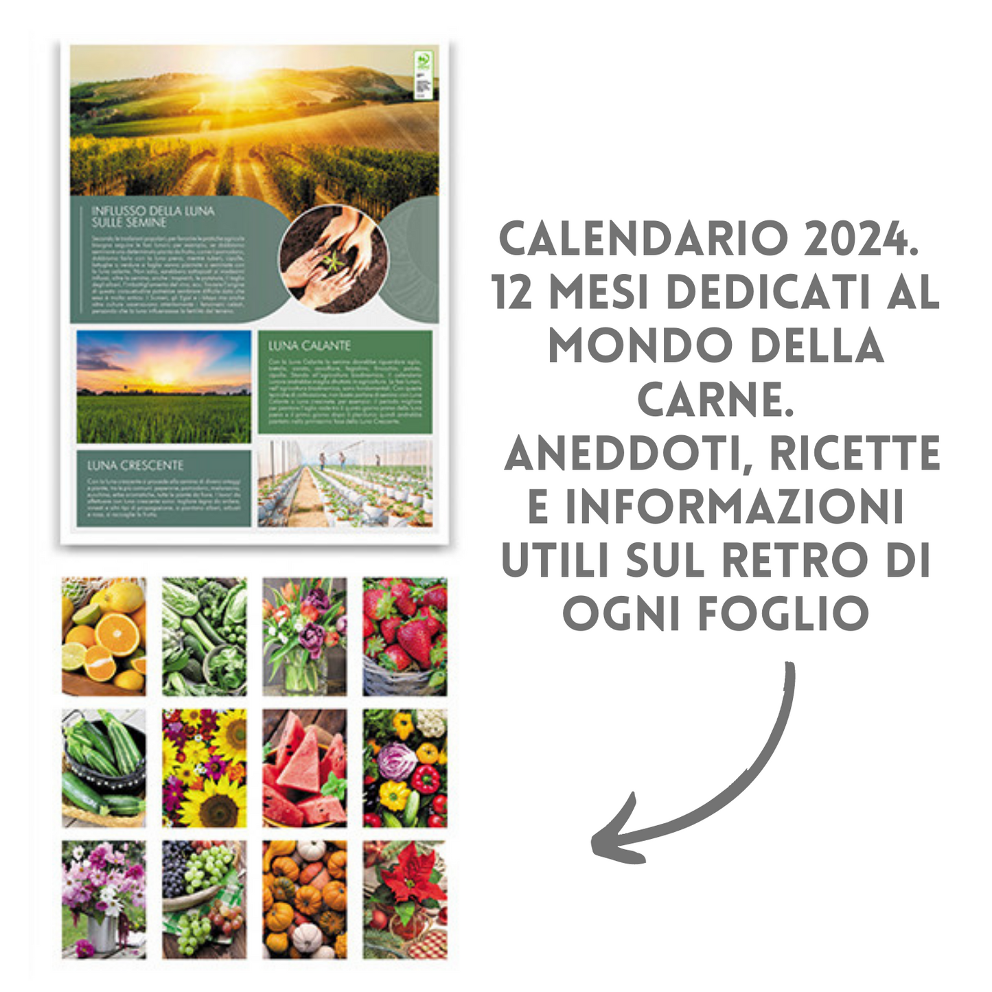 Calendari personalizzati 2024 illustrati PA152
