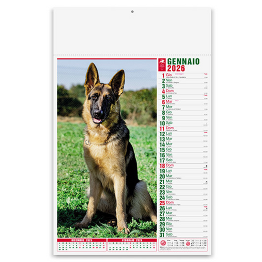Calendario illustrato 2026 cani e gatti | Cod. PA108