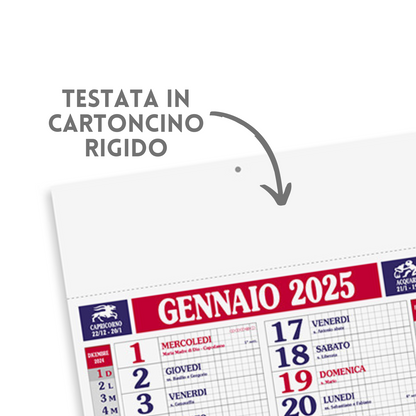 Calendari personalizzati 2025 olandesi PA610
