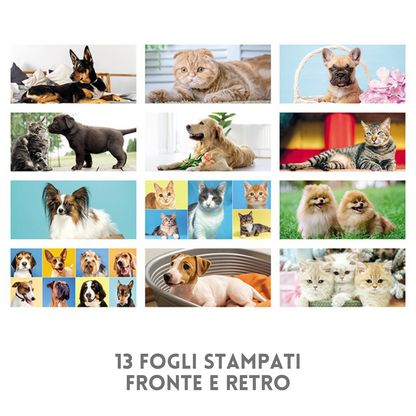 Calendario da banco 2026 Cani e Gatti | Cod. PA403