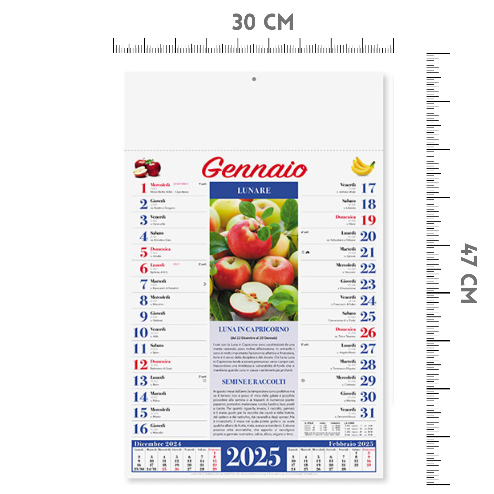 Calendari personalizzati 2025 illustrati PA152