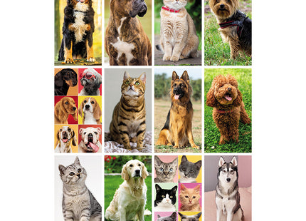 Calendario olandese personalizzato 2027 Cani e gatti