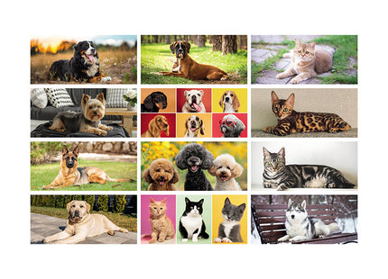 Calendario da tavolo personalizzato 2027 Cani e gatti