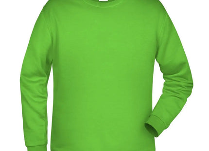 Felpa Uomo Girocollo Daiber Basic Sweat Man JN794 Personalizzabile - JN794_LIM_01.jpg