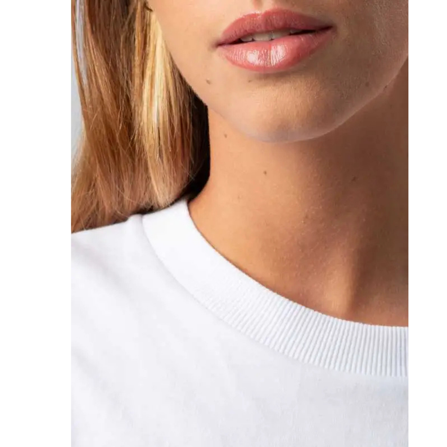 Magliette BS personalizzate alta qualità | Cod. BS025