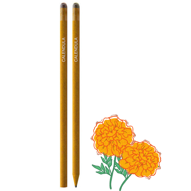 Matite piantabili personalizzate semi di calendula