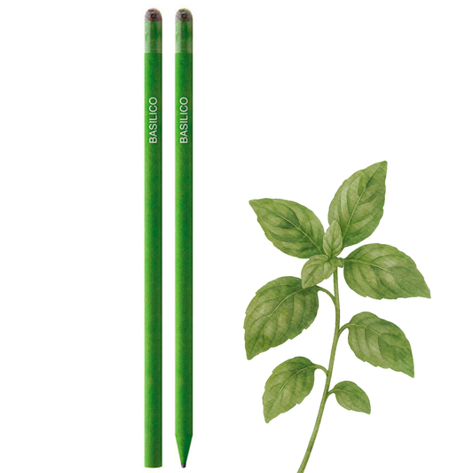 Matite piantabili personalizzate semi di basilico | PD574BB
