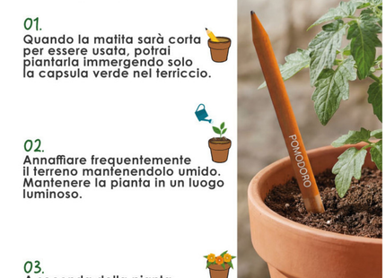 Matite piantabili personalizzate semi di pomodoro | PD574PO