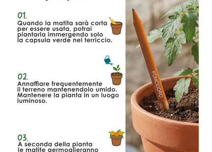 Matite personalizzate piantabili con semi di Pomodoro