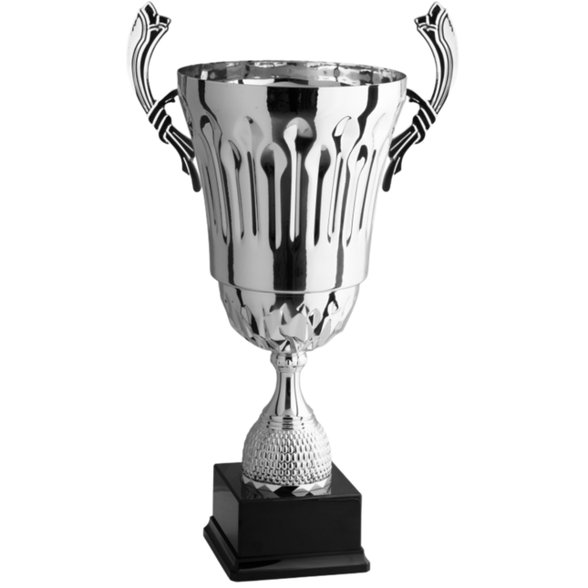 Trofeo con manici da 51 cm, peso da 2,2 Kg | Cod. 3.073
