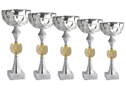 Set di 5 coppe personalizzate 37-33-30-27-25 cm | Cod. 12.019S