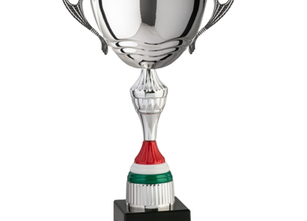 Trofeo in metallo da 40 cm con manici | Cod. 7.542