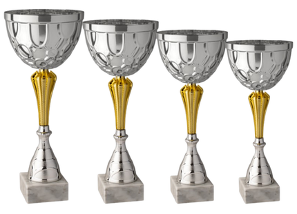 Set 4 Coppe da 43 - 39 - 36 - 32 cm | Cod. 9.229S