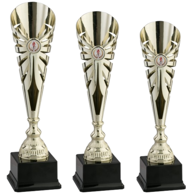 Premiazioni personalizzate 13.009G