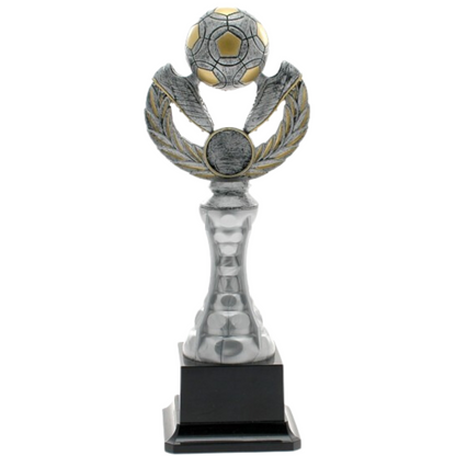 Premiazioni personalizzate premio calcio 15.220