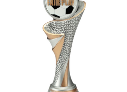 Premiazioni personalizzate premio calcio 25.797.37