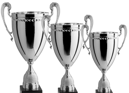 Tris di premiazioni personalizzate con manici 66 - 59 - 53 cm | Cod. 1.161-T