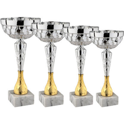 Set premiazioni cod 13.549S