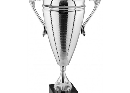 Trofeo con manici 66 cm da 4 Kg | Cod. 1.062