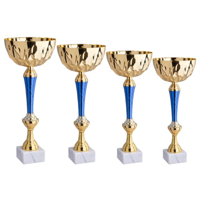 Set 4 Coppe da 41 - 39 - 36 - 33 cm | Cod. 11.569G