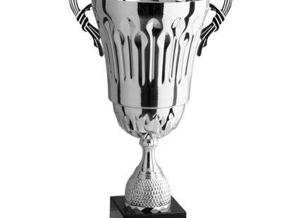 Trofeo con manici da 62 cm, peso da 1 Kg | Cod. 3.071