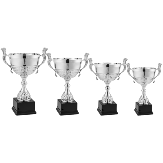 Set 4 Trofei con manici da 38 - 33 - 29 - 27 cm | Cod. 7.509