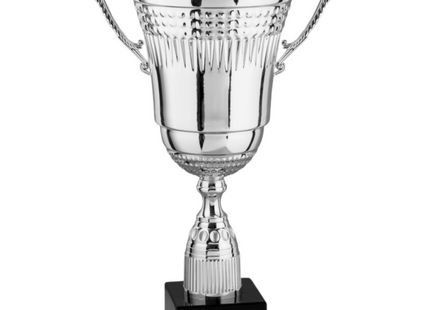 Coppa trofeo con manici da 37 cm | Cod. 2.456