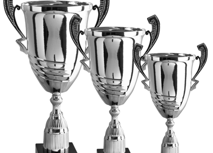 Tris di premiazioni personalizzate con manici 70 - 65 - 57 cm | Cod. 1.101-T