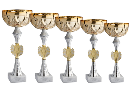 Set di 5 coppe personalizzate 37-33-30-27-25 cm | Cod. 12.019G