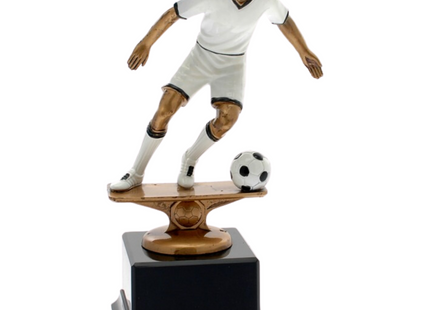Premiazioni personalizzate premio calcio 15.291