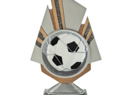 Premiazioni personalizzate premio calcio 25.798.11