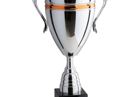 Trofeo con manici da 38 cm, peso da 1 Kg | Cod. 1.264