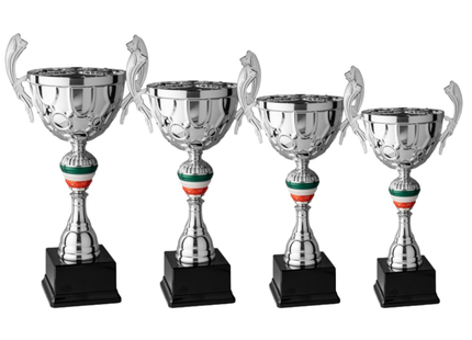 Set 4 Trofei con manici da 46 - 41 - 41 - 39 cm | Cod. 7.099