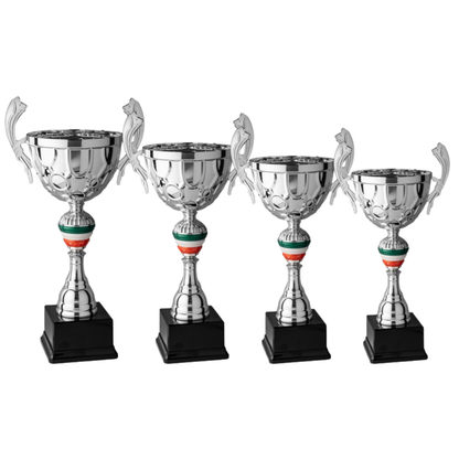 Set 4 Trofei con manici da 46 - 41 - 41 - 39 cm | Cod. 7.099
