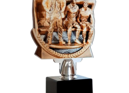 Premiazioni personalizzate premio calcio 15.311A