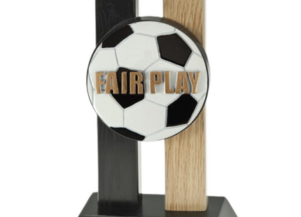 Premiazioni personalizzate premio Fair Play calcio 25.804.37