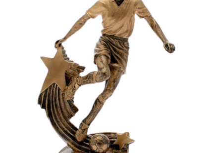 Premiazioni personalizzate premio calcio 15.303