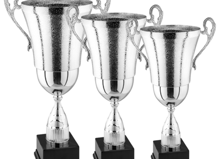 Tris di premiazioni personalizzate con manici 65 - 59 - 54 cm | Cod. 2.141G