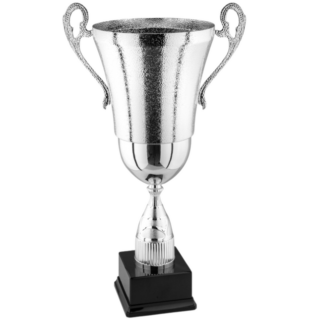 Coppa trofeo con manici da 47 cm | Cod. 2.144