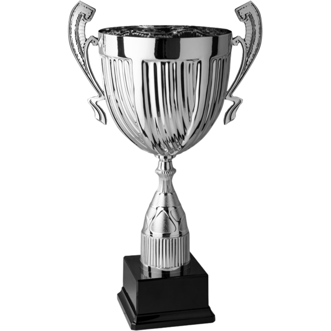 Trofeo con manici da 49 cm, peso da 0,7 Kg | Cod. 4.062