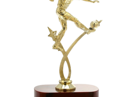 Premiazioni personalizzate premio calcio 14.535
