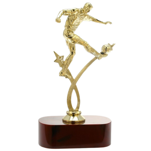 Premiazioni personalizzate premio calcio 14.535