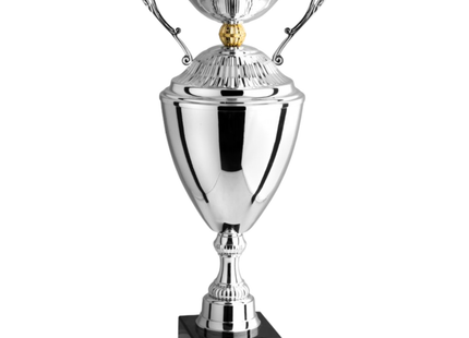 Trofeo con manici da 57 cm, peso da 1,9 Kg | Cod. 3.082
