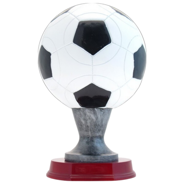 Premiazioni personalizzate premio calcio 15.301
