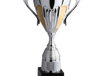 Trofeo con manici da 36 cm, peso da 0,8 Kg | Cod. 4.123