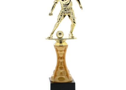 Premiazioni personalizzate premio calcio 15.275