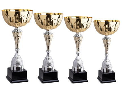 Set 4 Coppe da 41 - 37 - 34 - 30 cm | Cod. 9.059G